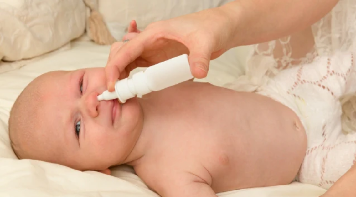 Articles-Nibzu-nibzu Admin-